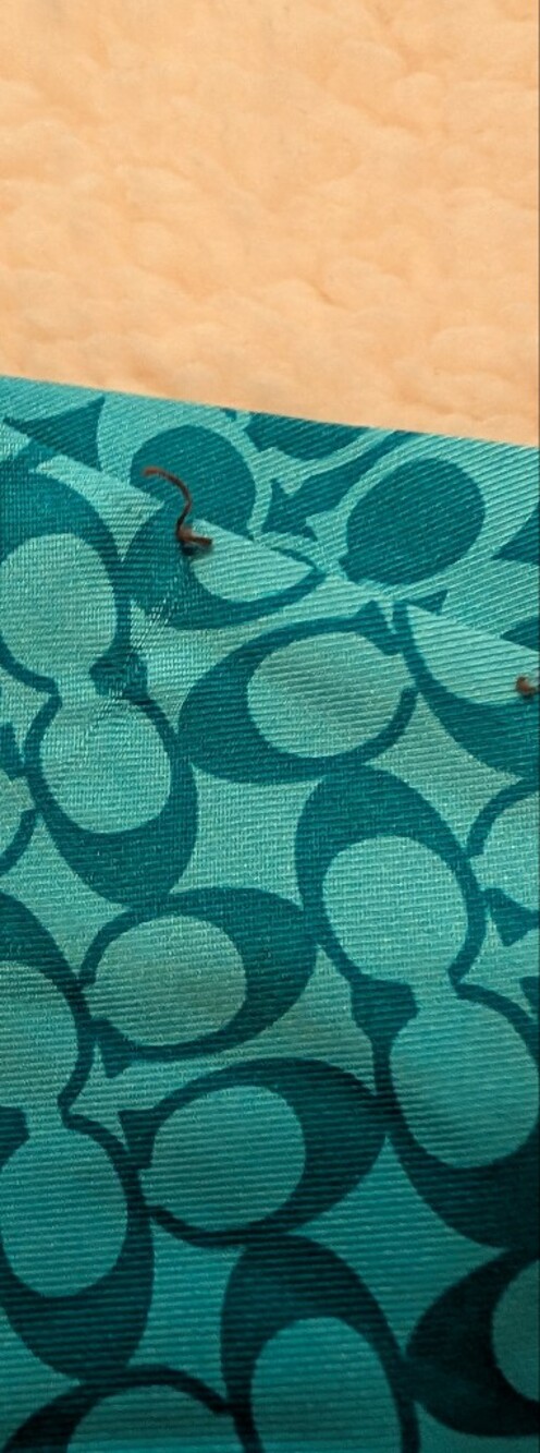 COACH Logo Print Scarf with Crystal Studs and Fringe Teal VGUC - Picture 2 of 7